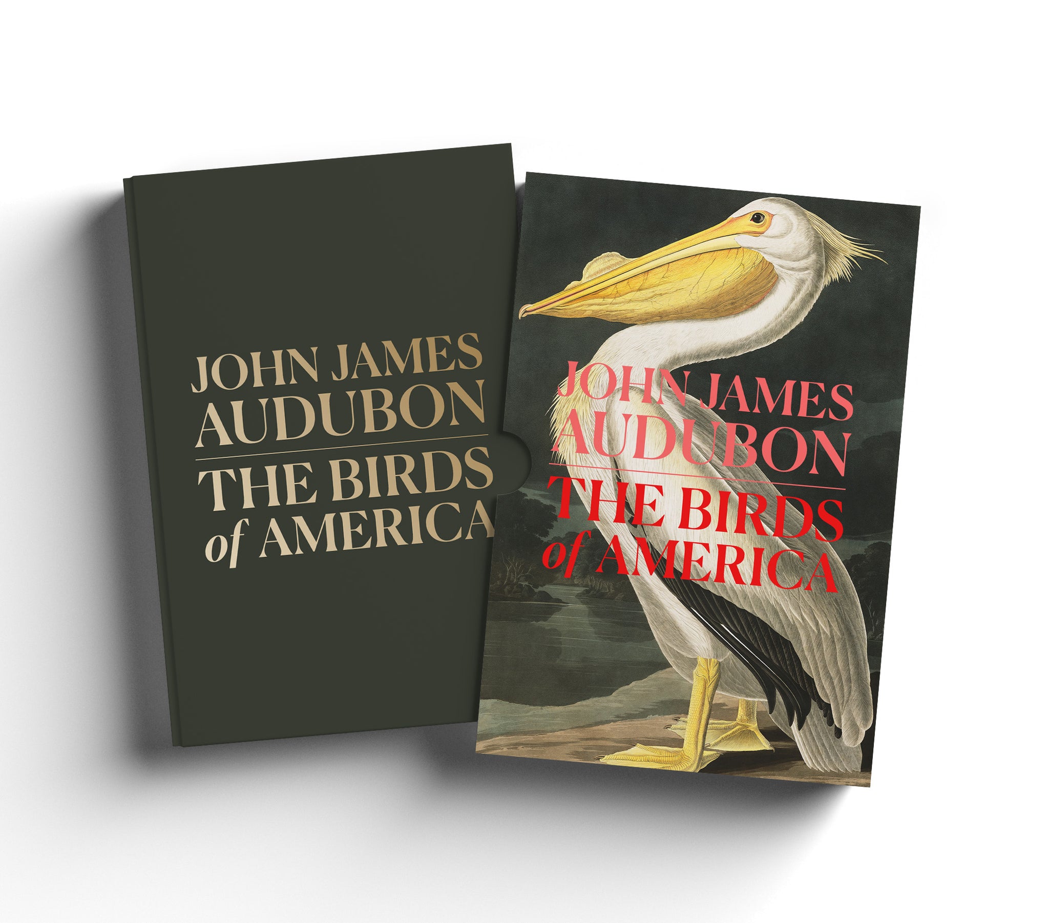 BirdsOfAmerica_SlipcaseBookCov