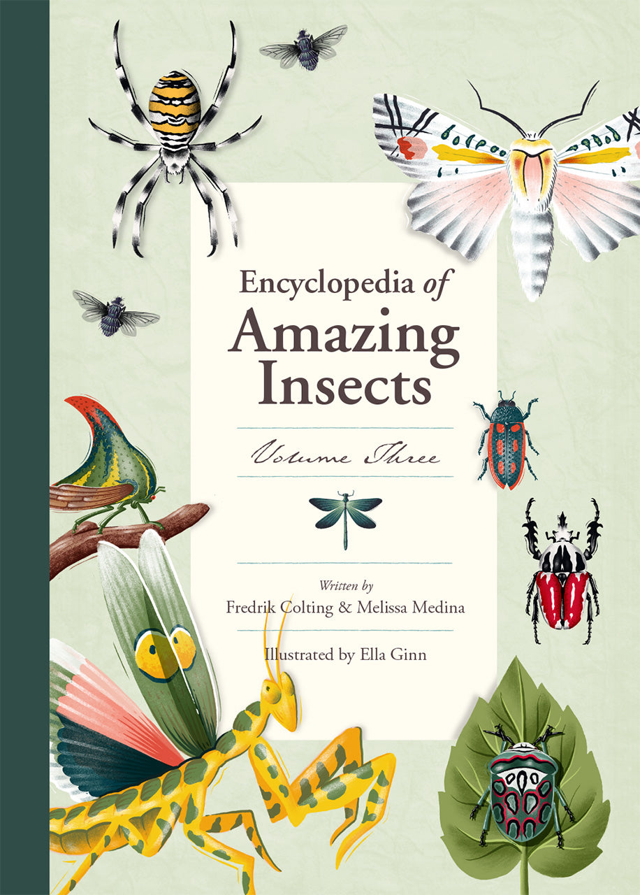 Planet Insect Book Encyclopedia of Amazing Insects – Hello Moppet