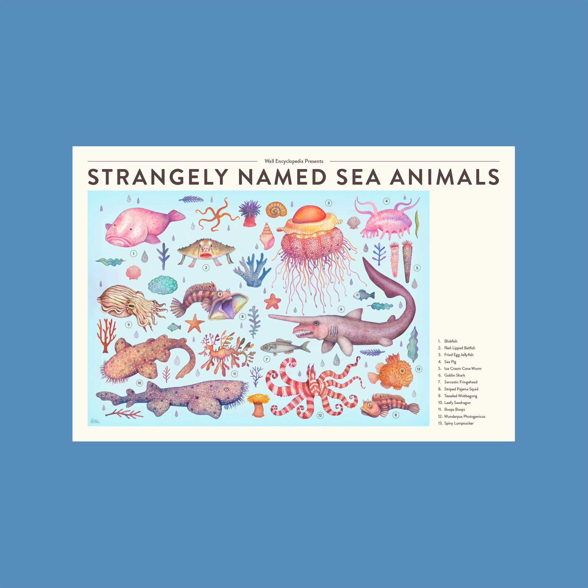 Strangely Named Sea Animals Poster – Hello Moppet