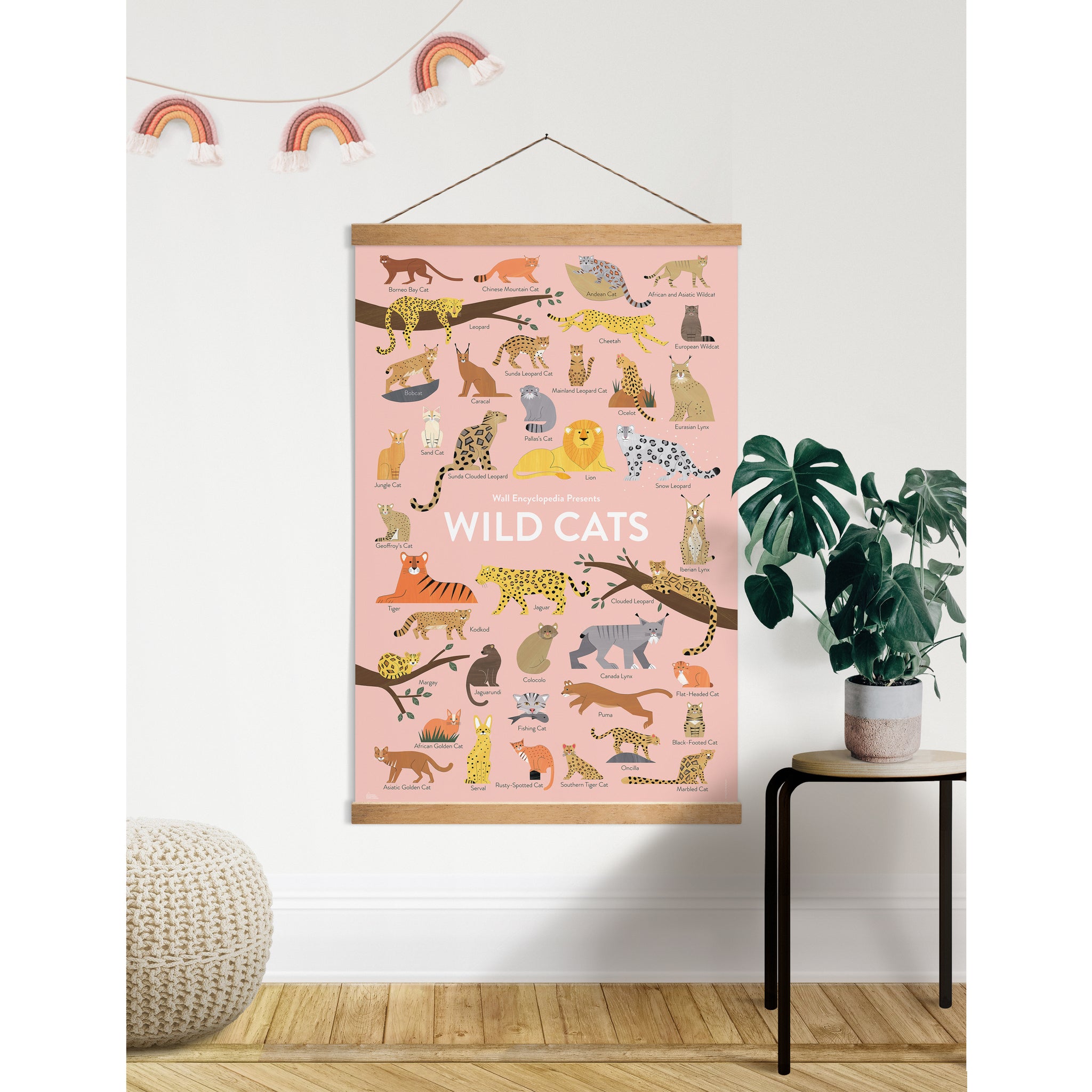 Wild Cats – Hello Moppet